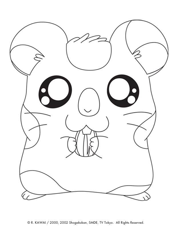 Disegno 27 Hamtaro