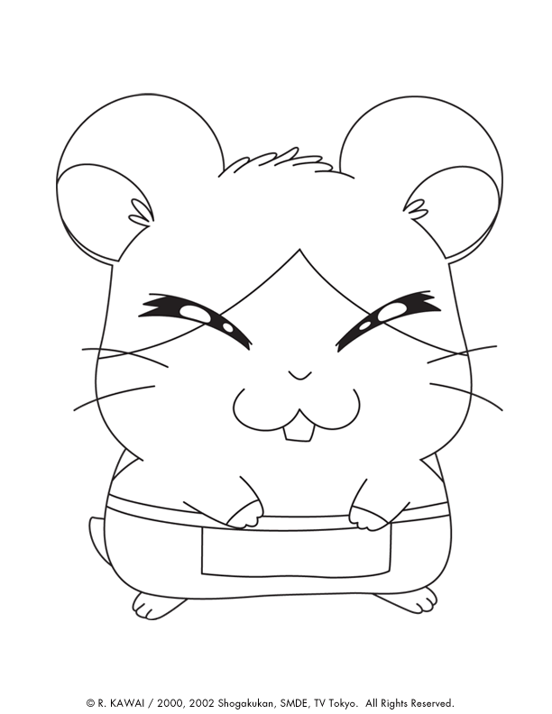 Disegno 30 Hamtaro