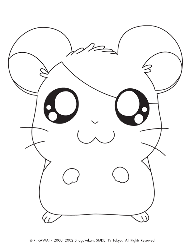 Disegno 34 Hamtaro