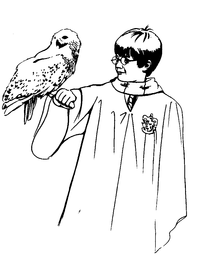 Disegno 88 Harry potter