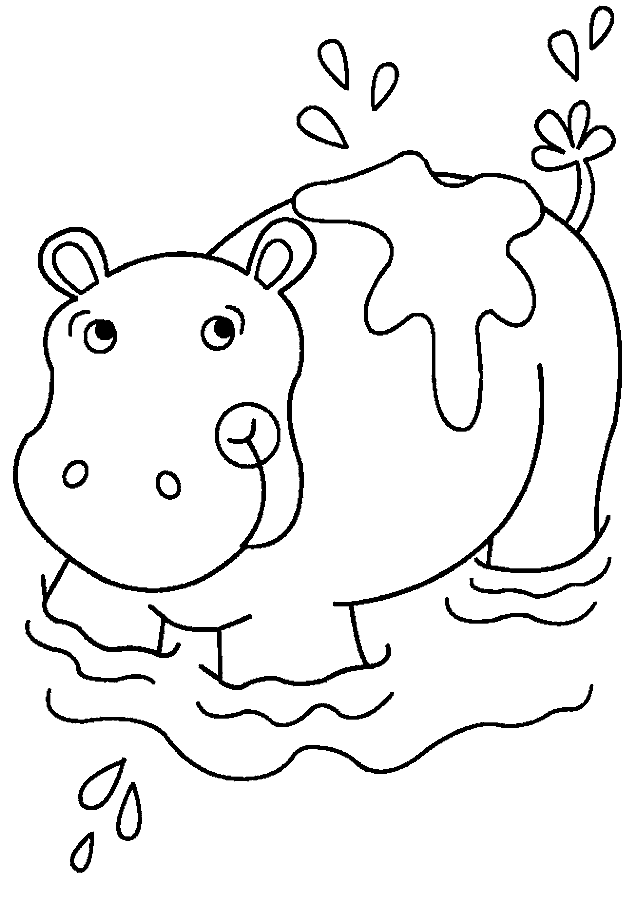 Disegno 10 Ippopotamo