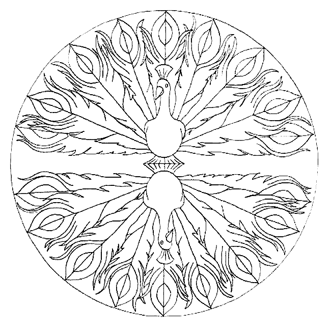 Disegno 26 Mandala animali