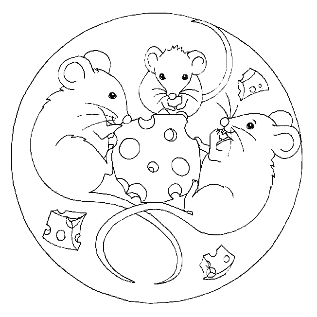 Disegno 33 Mandala animali