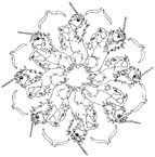 Disegno 15 Mandala animali