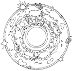 Disegno 43 Mandala animali