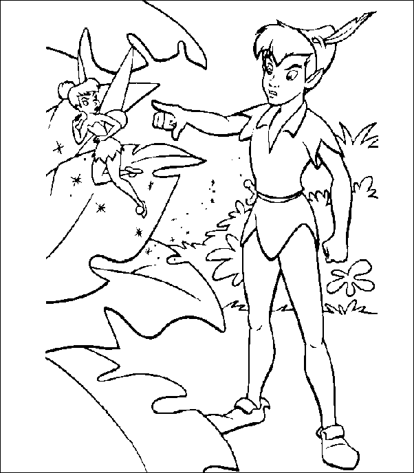 Disegno 9 Peter pan