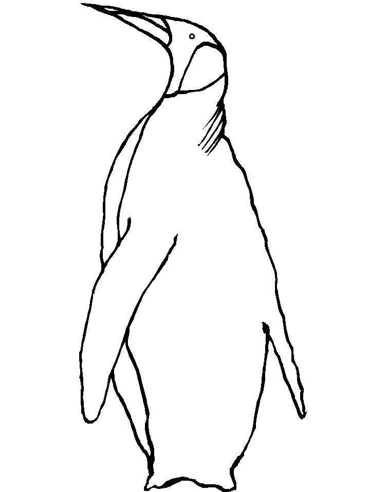 Disegno 25 Pinguini