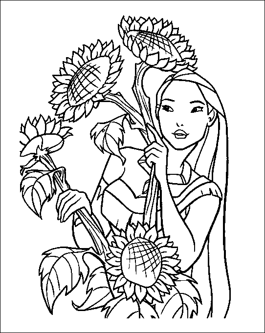 Disegno 1 Pocahontas