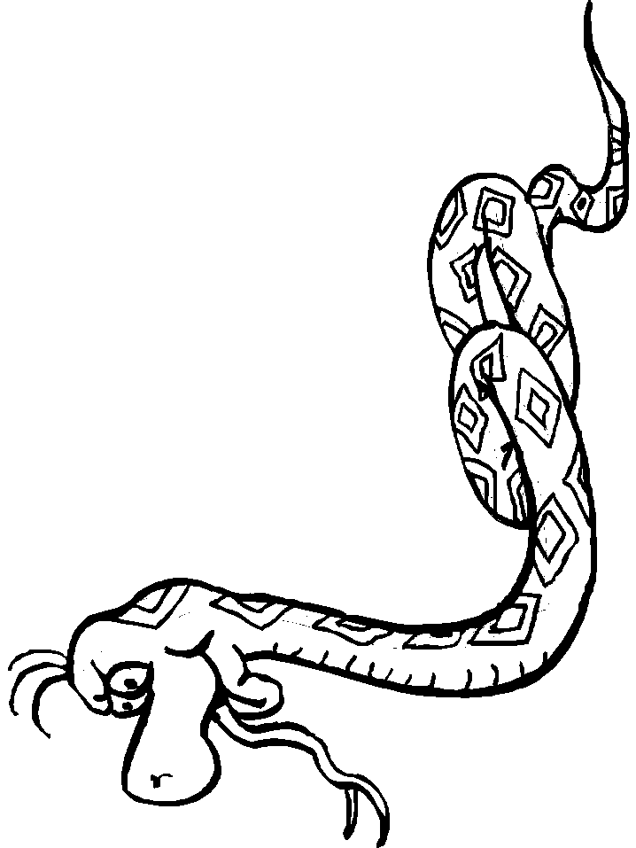 Disegno 36 Serpenti