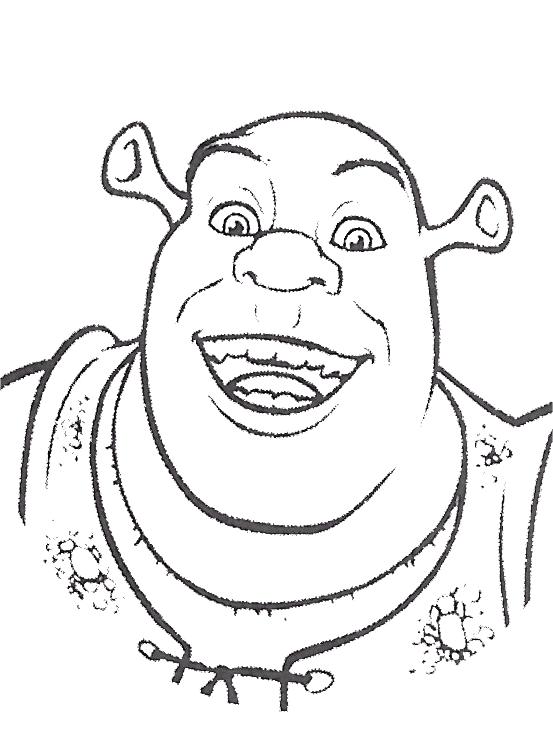 Disegno 55 Shrek