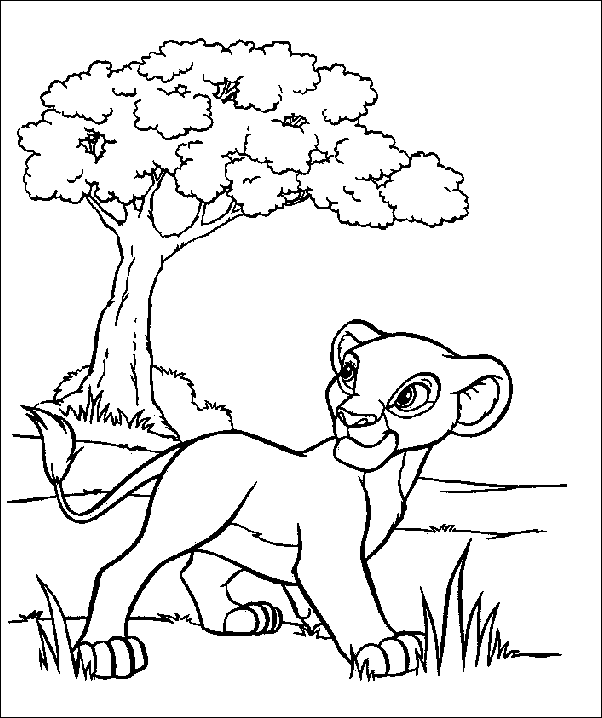 Disegno 3 Simba