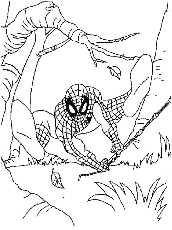 Disegno 156 Spiderman