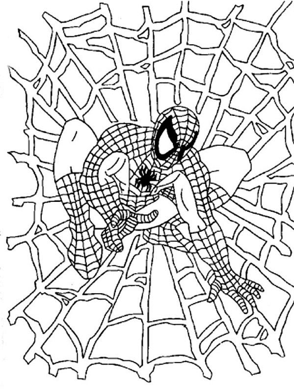 Disegno 32 Spiderman