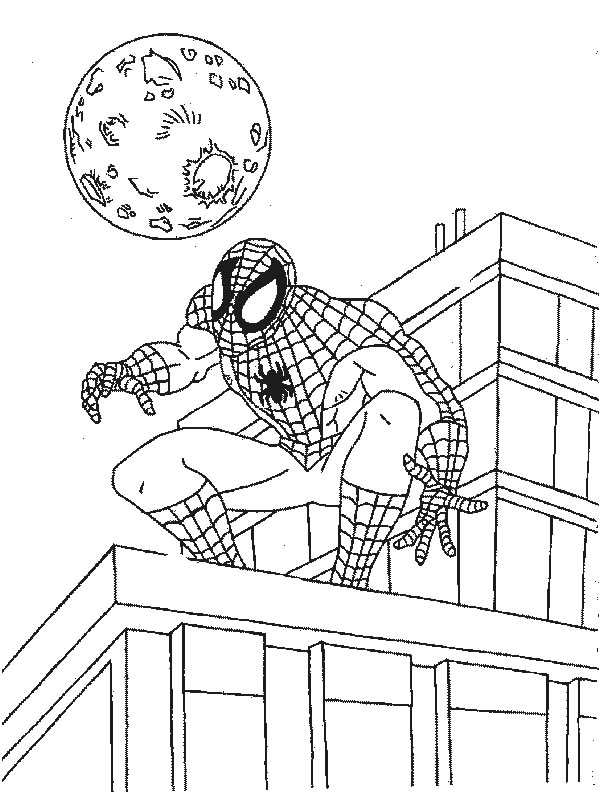 Disegno 48 Spiderman