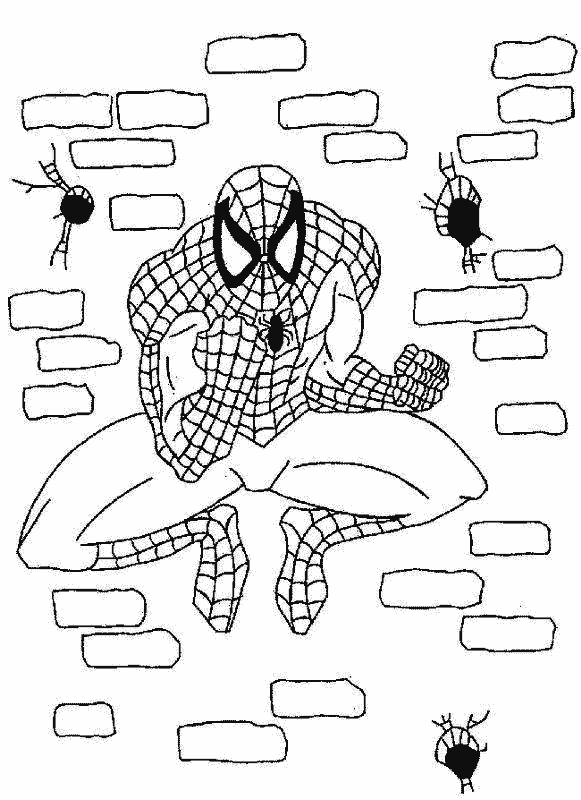 Disegno 5 Spiderman