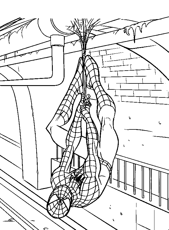 Disegno 54 Spiderman