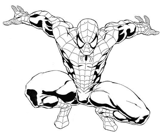 Disegno 55 Spiderman