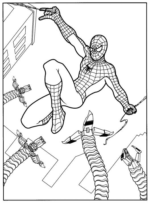 Disegno 81 Spiderman