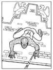 Disegno 89 Spiderman
