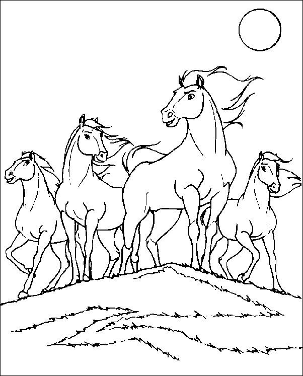 Disegno 5 Spirit cavalloselvaggio