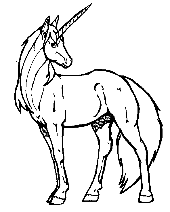 Disegno 2 Unicorno