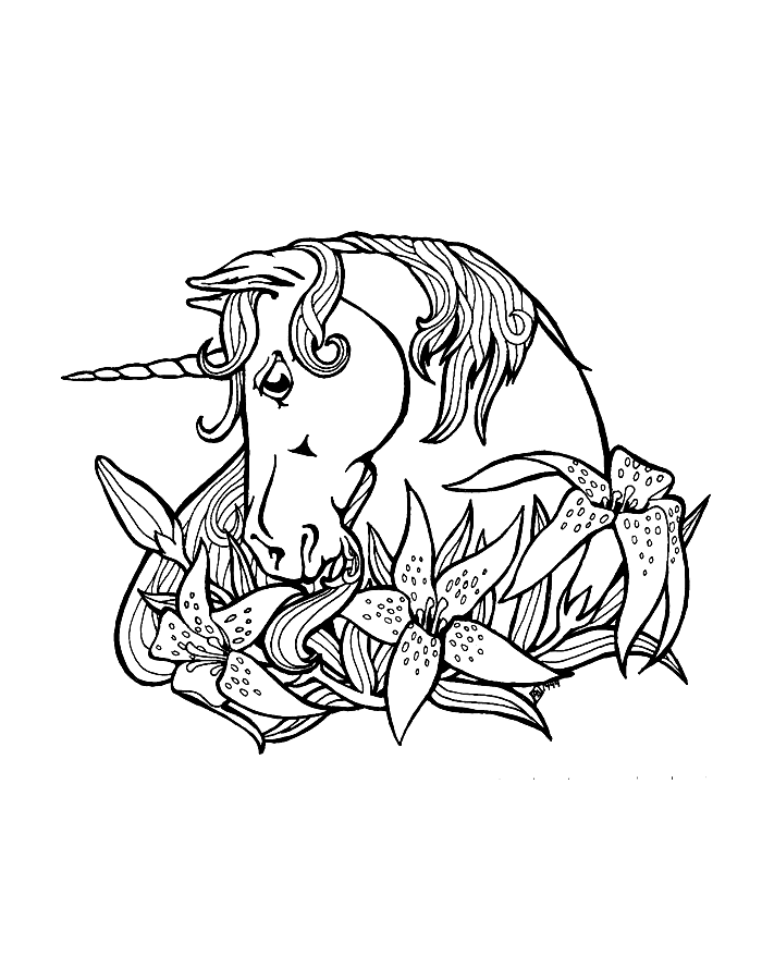 Disegno 36 Unicorno