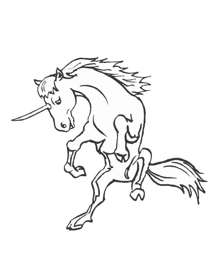 Disegno 47 Unicorno