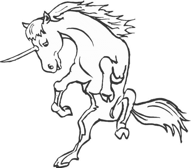 Disegno 51 Unicorno