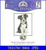 DMC - Schemi e link-dmc-best-friends-k5422-border-collie-puppy-jpg