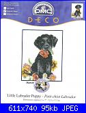 DMC - Schemi e link-dmc-best-friends-bl088-55-little-labrador-puppy-jpg