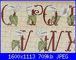 Alfabeti  fiori ( Vedi ALFABETI ) - schemi e link-calle2-jpg