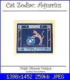 Segni zodiacali/ Oroscopi*- schemi e link-acquario-jpg