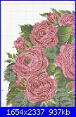 Rose, Roses, Rosas, Rosen - schemi e link-5406-d82b0-16436308-jpg