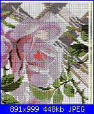 Rose, Roses, Rosas, Rosen - schemi e link-6-jpg