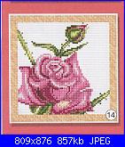 Rose, Roses, Rosas, Rosen - schemi e link-1a-jpg