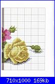 Rose, Roses, Rosas, Rosen - schemi e link-7-jpg