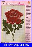 Rose, Roses, Rosas, Rosen - schemi e link-01-35-jpg