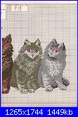 Afghans - schemi e link-la-2206-purrfect-company-2-jpeg