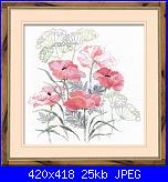 Fiori, fiori, fiori - schemi e link-riolis339-poppies-jpg