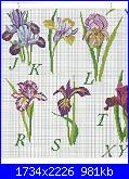 Iris*( Vedi FIORI ) - schemi e link-abc-iris-4-jpg