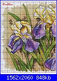 Iris*( Vedi FIORI ) - schemi e link-quadro-con-iris-jpg