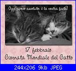 festa del gatto-gatti-jpg