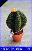 cactus uncinetto-imagescao6qw24-jpg