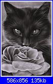 gatto con rosa-kitten_and_the_rose-134kb-jpg