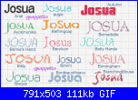 Josua-josua-gif