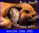 Swap "Il Palio delle Contrade di Megghy"-cani-gatti-animali-domestici-%5B1%5D-jpg