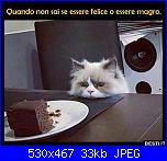 Swap: "Frrr...un mondo di fusa"-elda-gatto-jpg