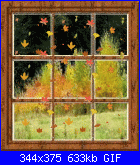 23 settembre-fallwindow-gif