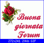 4 maggio-2z9l7wy-gif