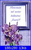 vale.stanhome: ciao a tutte-iris-violetti-jpg